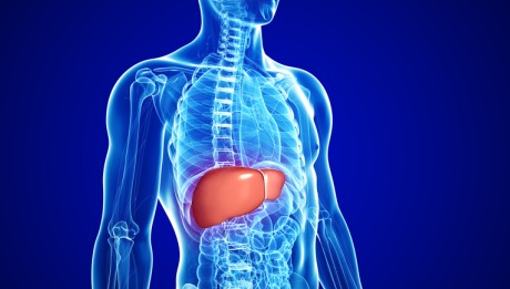 Is Ribavirin Necessary in Liver Transplant Recipients with Recurrent HCV?