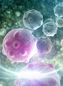 New CAR-T Results in 95% Response for Relapsed/Refractory Chronic Lymphocytic Leukemia